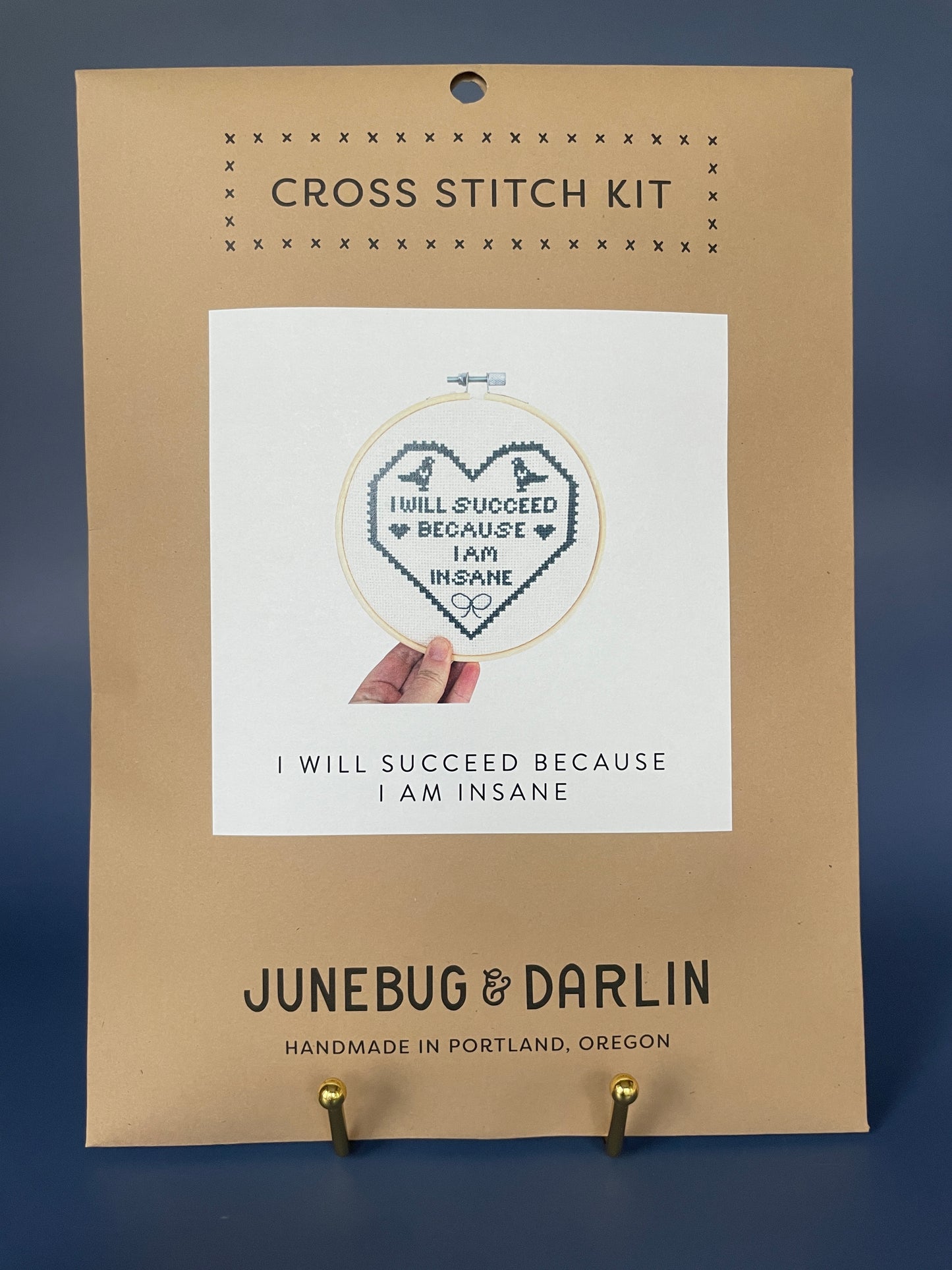 "I Will Succeed Because I Am Insane" Cross Stitch Kit