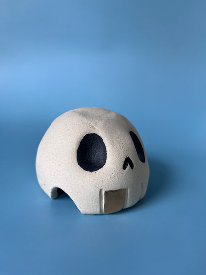 Ceramic skull with a gold toof